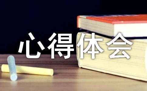 校车安全心得体会