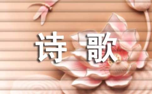 现代诗歌：我们的无奈