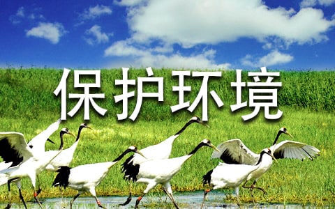保护环境英语作文小学