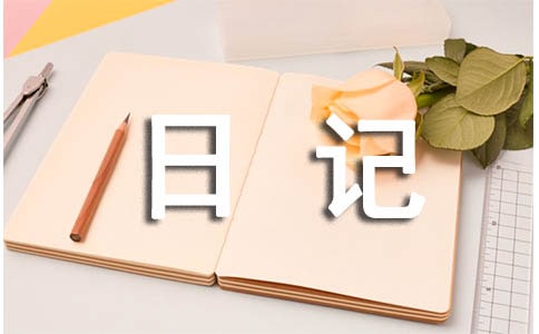 关于大年英语日记