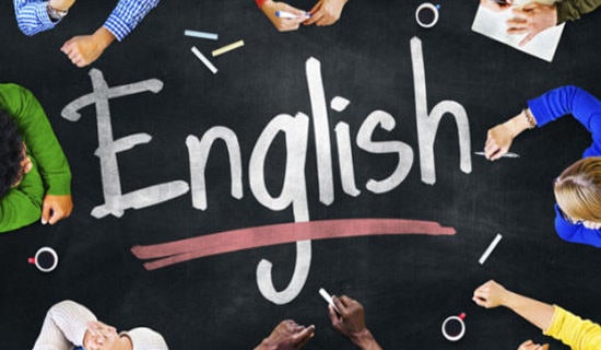 【实用】动物英语作文300字汇总8篇