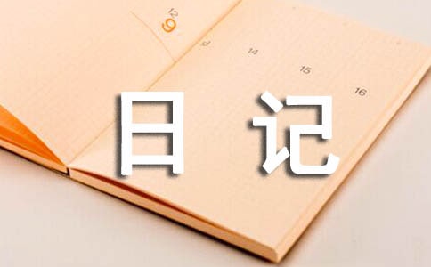 过年的英语日记
